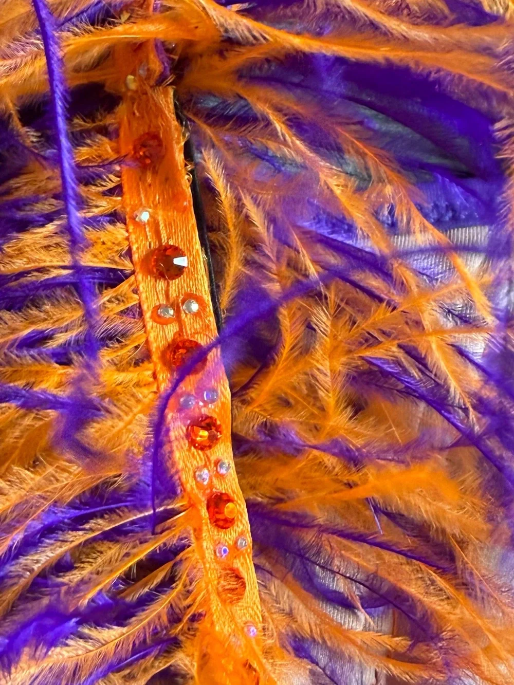 Kids Purple and Orange Feather Dance Costume Top and Bottom Set Custom Made